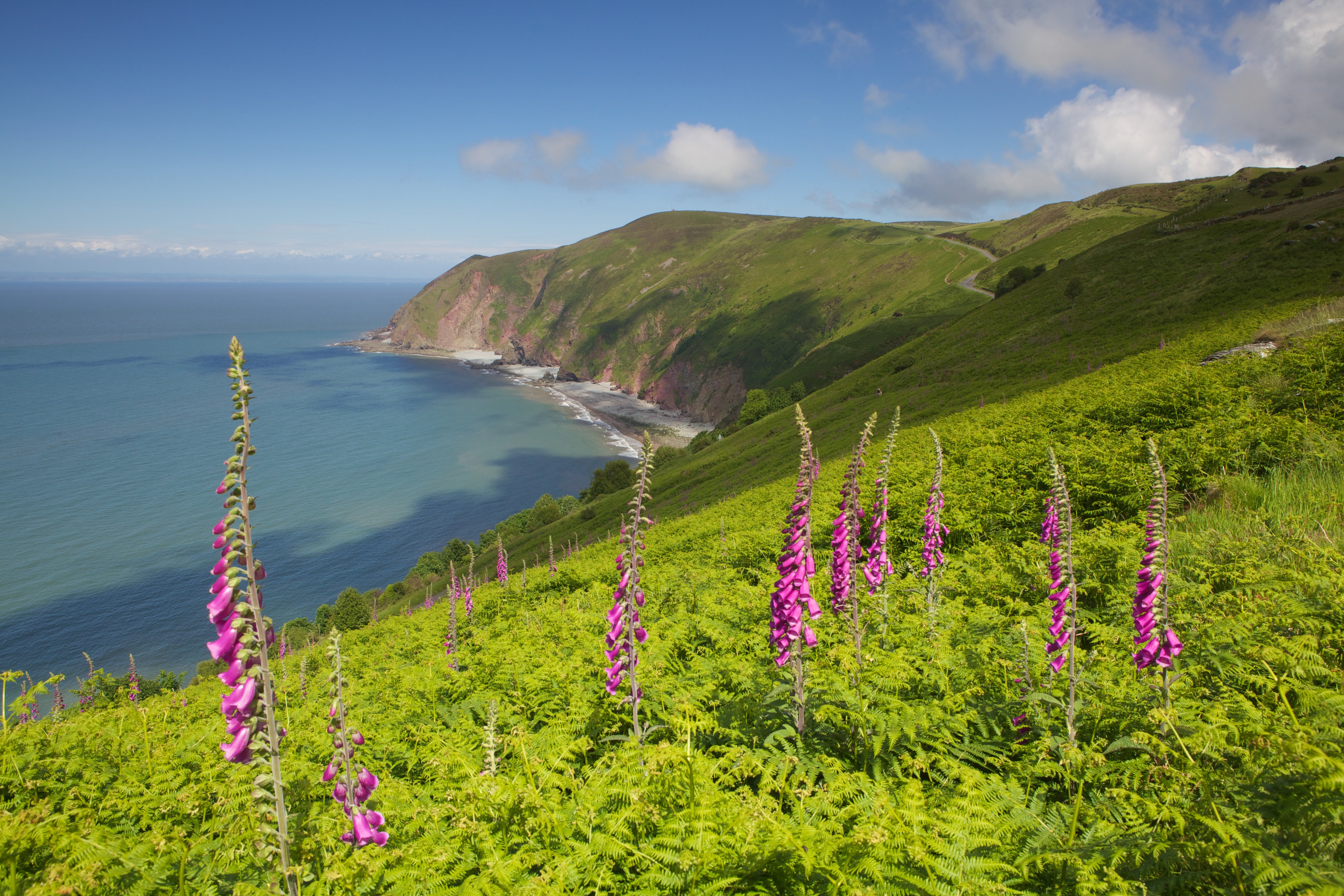 Exmoor White Horse Inn 75/78