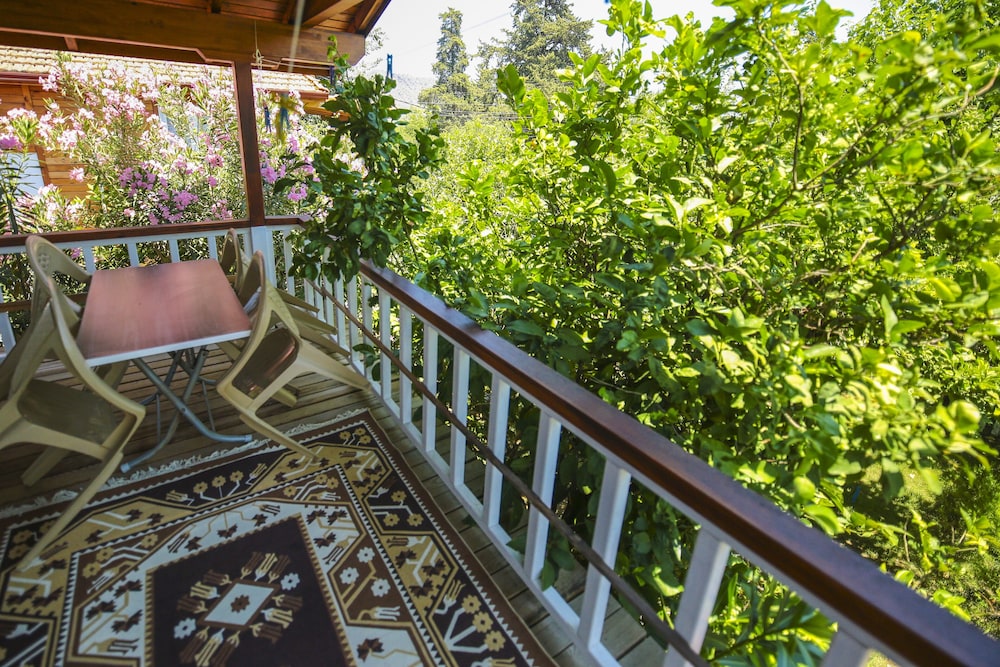 Cirali Villa Zeytin 44/50