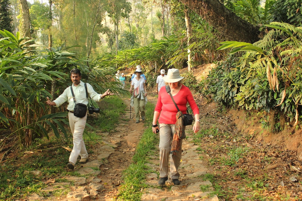 Spice Tree Munnar 41/50