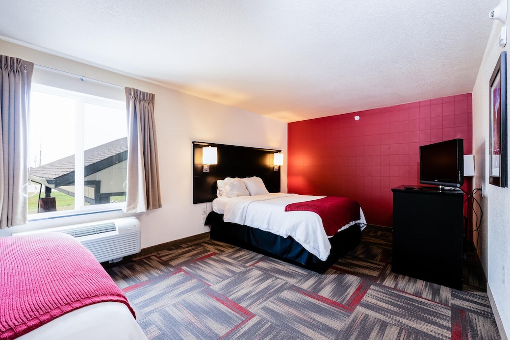 Black Gold Suites Tioga 8/21