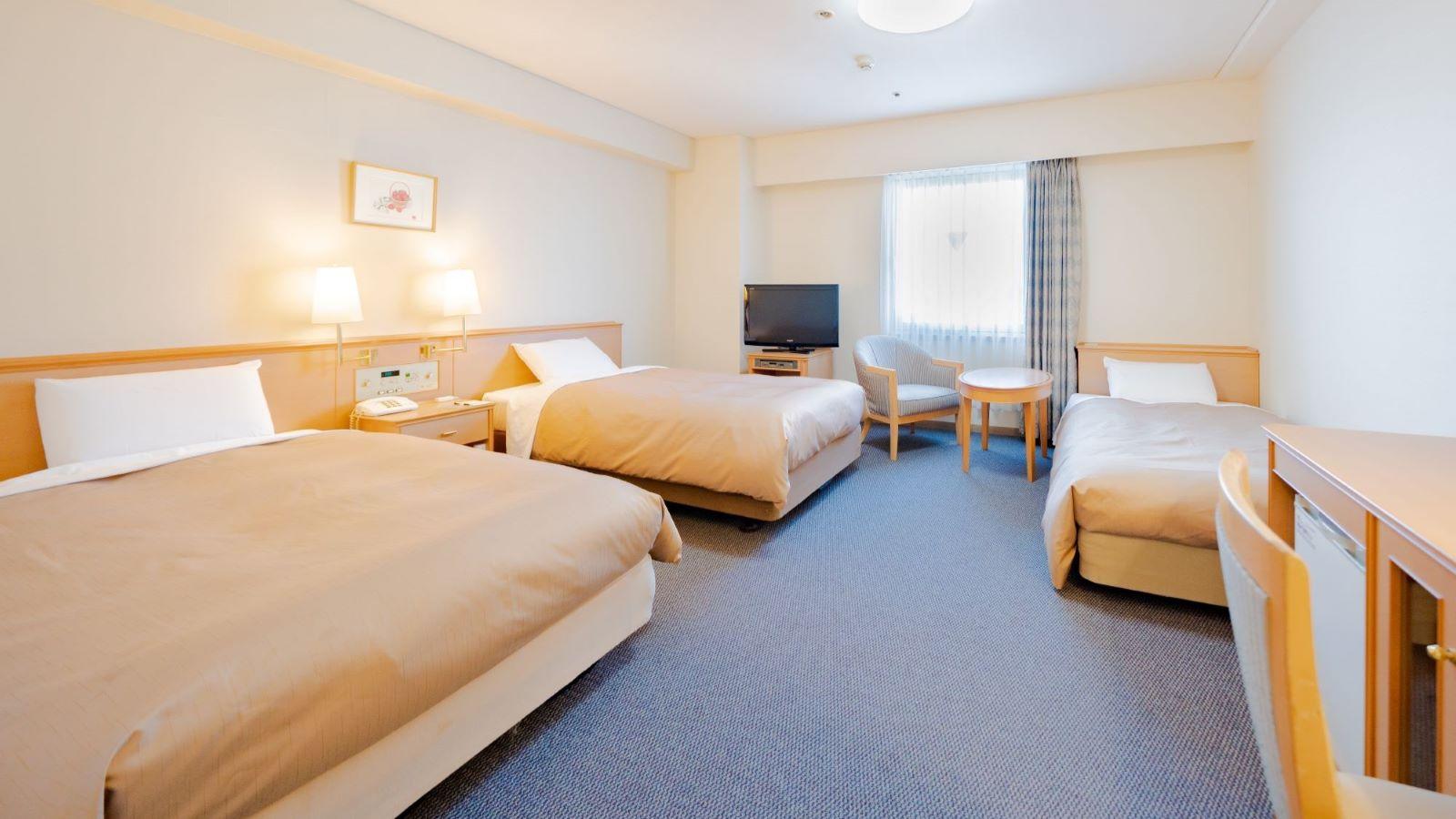 Room, Twin Beds, with Extra Bed, City View, Large, Smoking