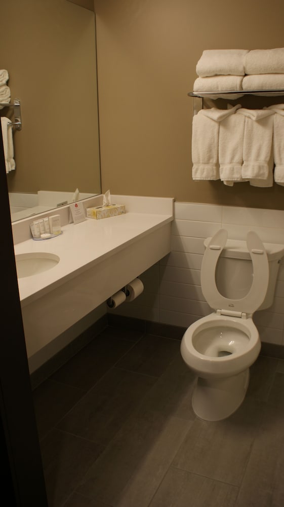 Canad Inns Destination Centre Windsor Park 27/51