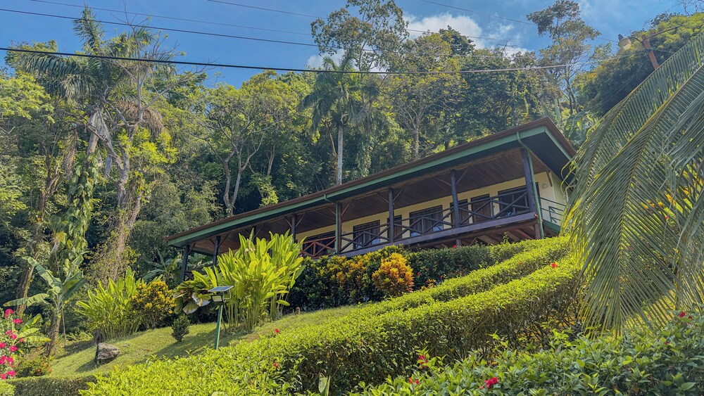 Tabulia Tree Hotel and Villas 11/77