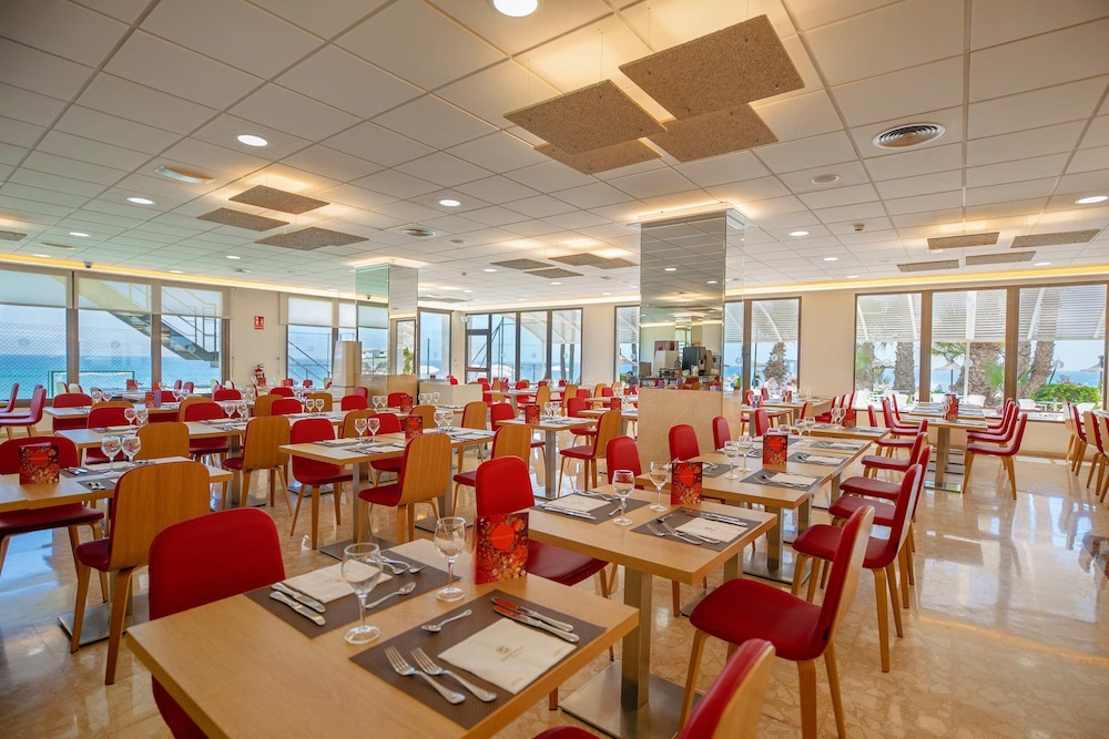Hotel Servigroup La Zenia 37/50