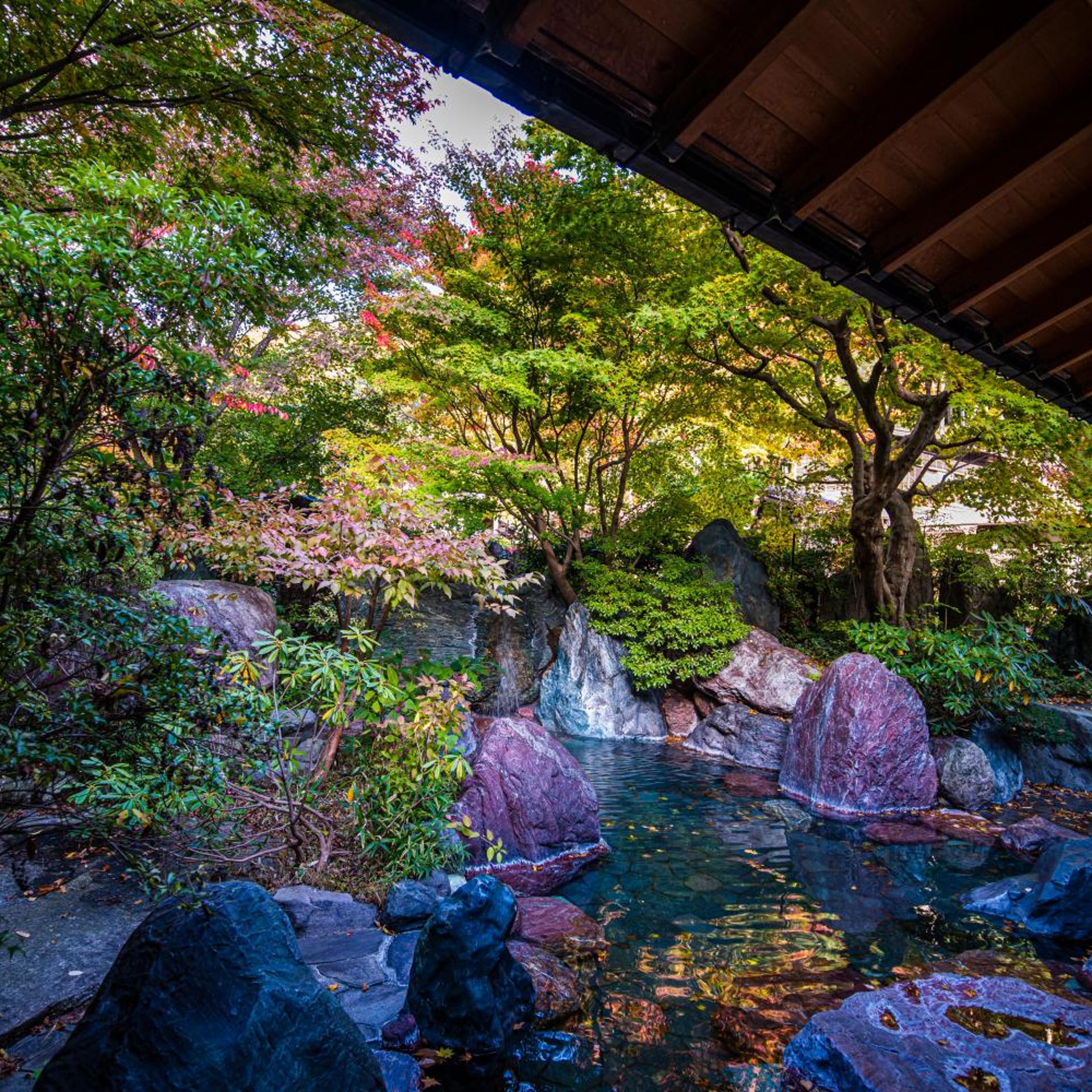 Hoshi Onsen Chojukan 17/50