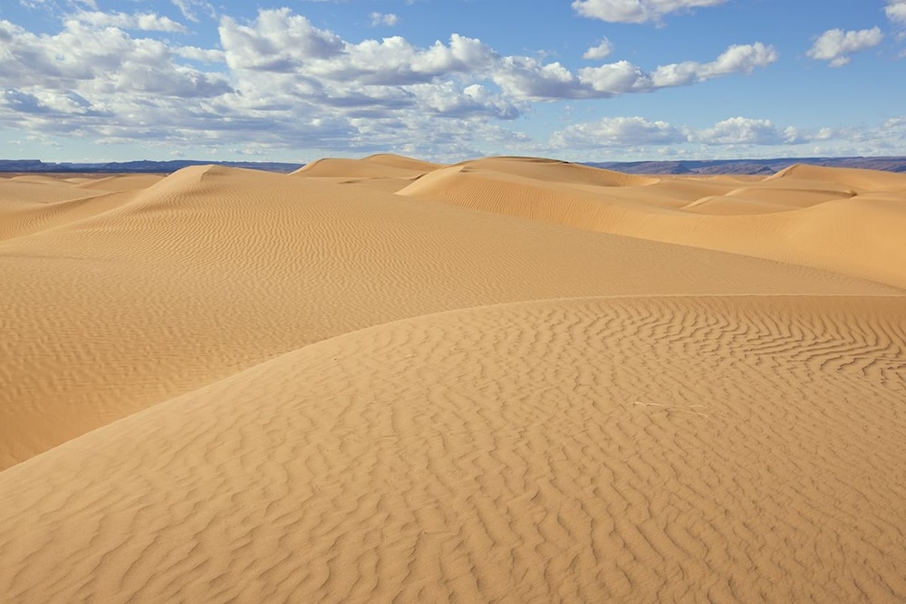 La Dune Blanche 26/48