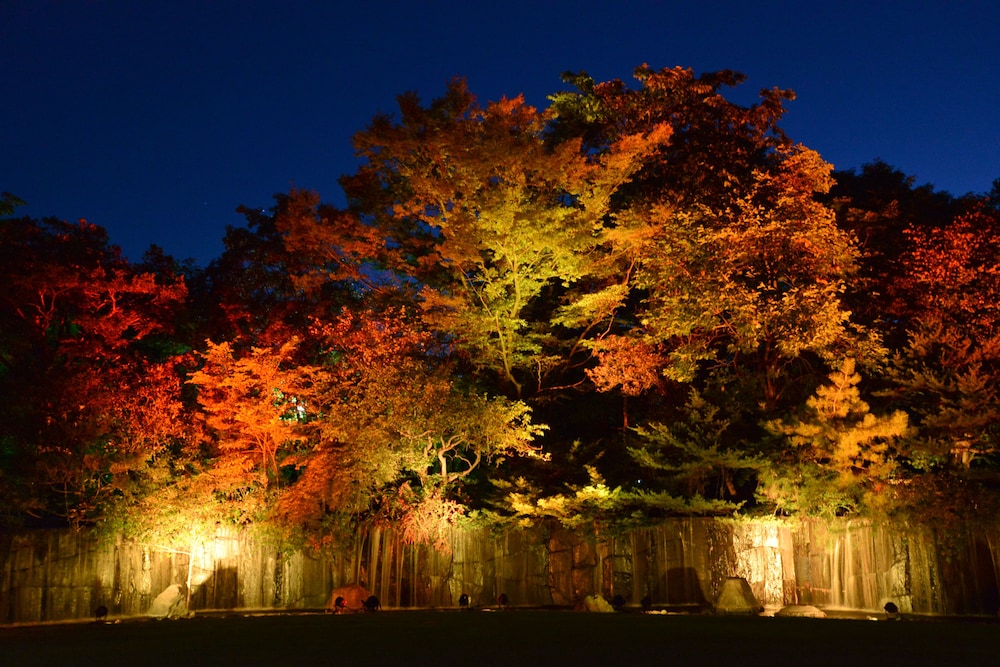 Sapporo Park Hotel 66/75