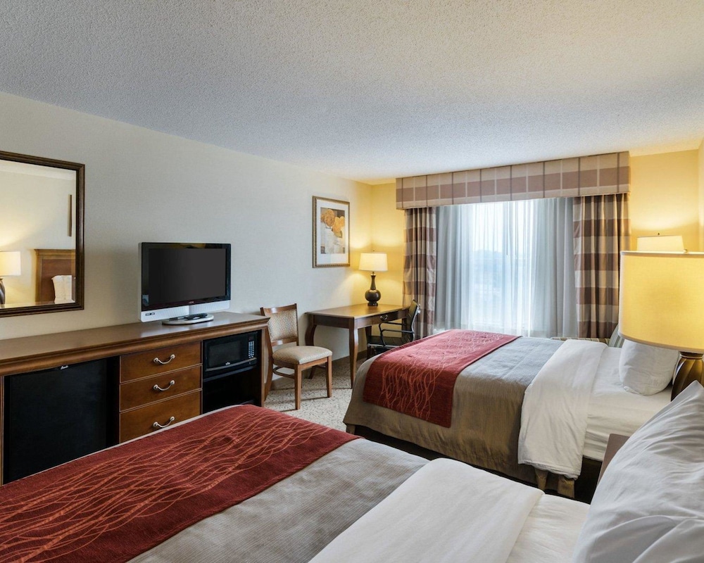 Comfort Inn & Suites Dover near Speedway 14/56