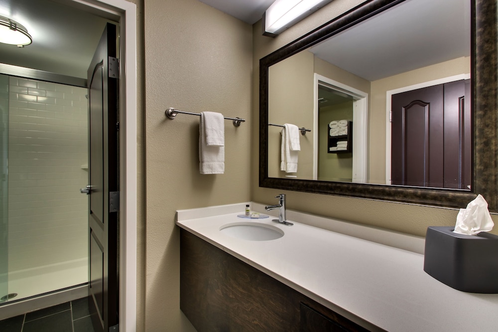 1 Bedroom, Suite, King Bed, Kitchen