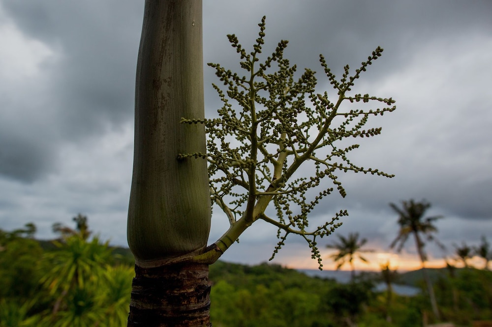 Batan Sabo Cottage 12/14