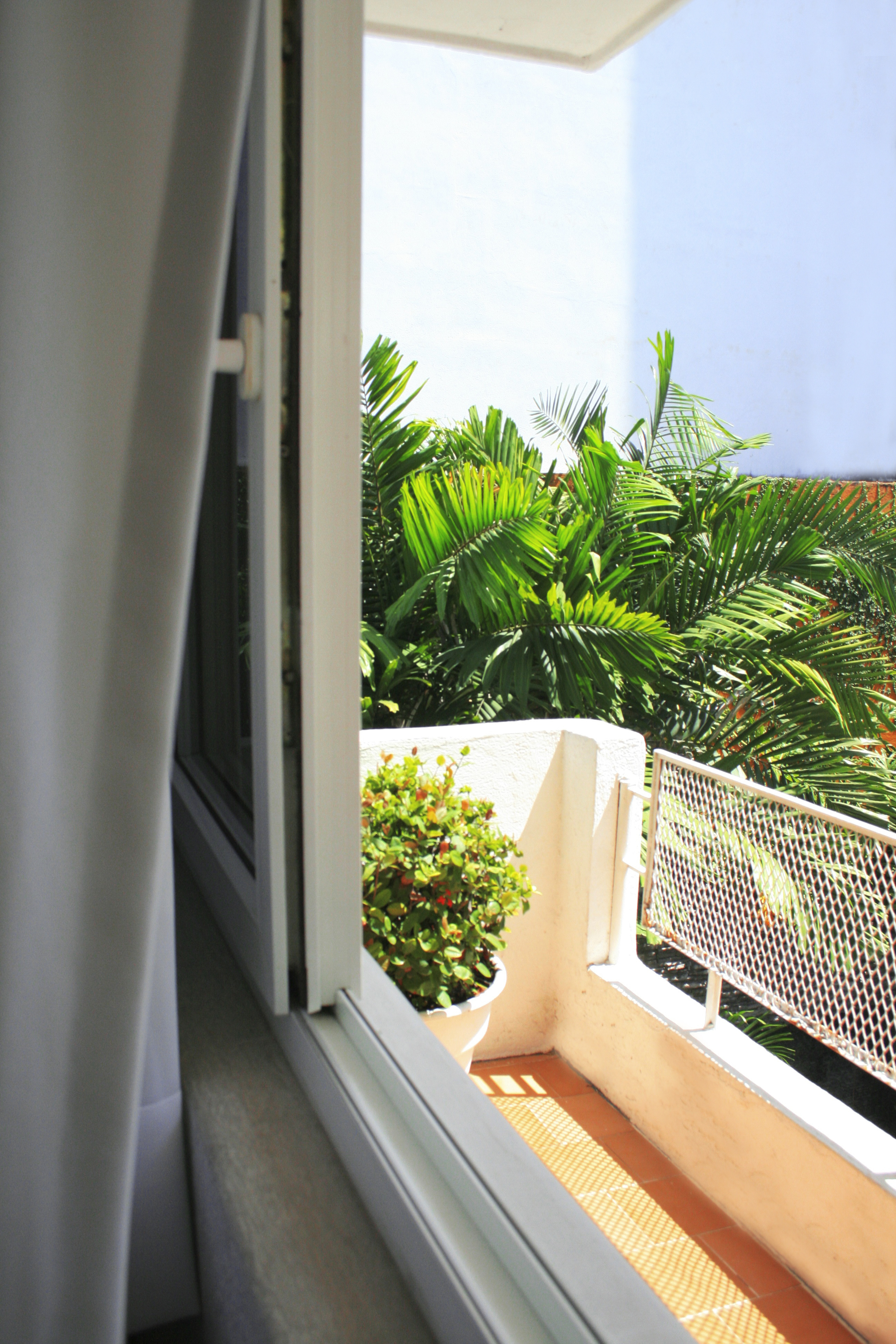 Hotel Rio Malecon Vallarta 5/56