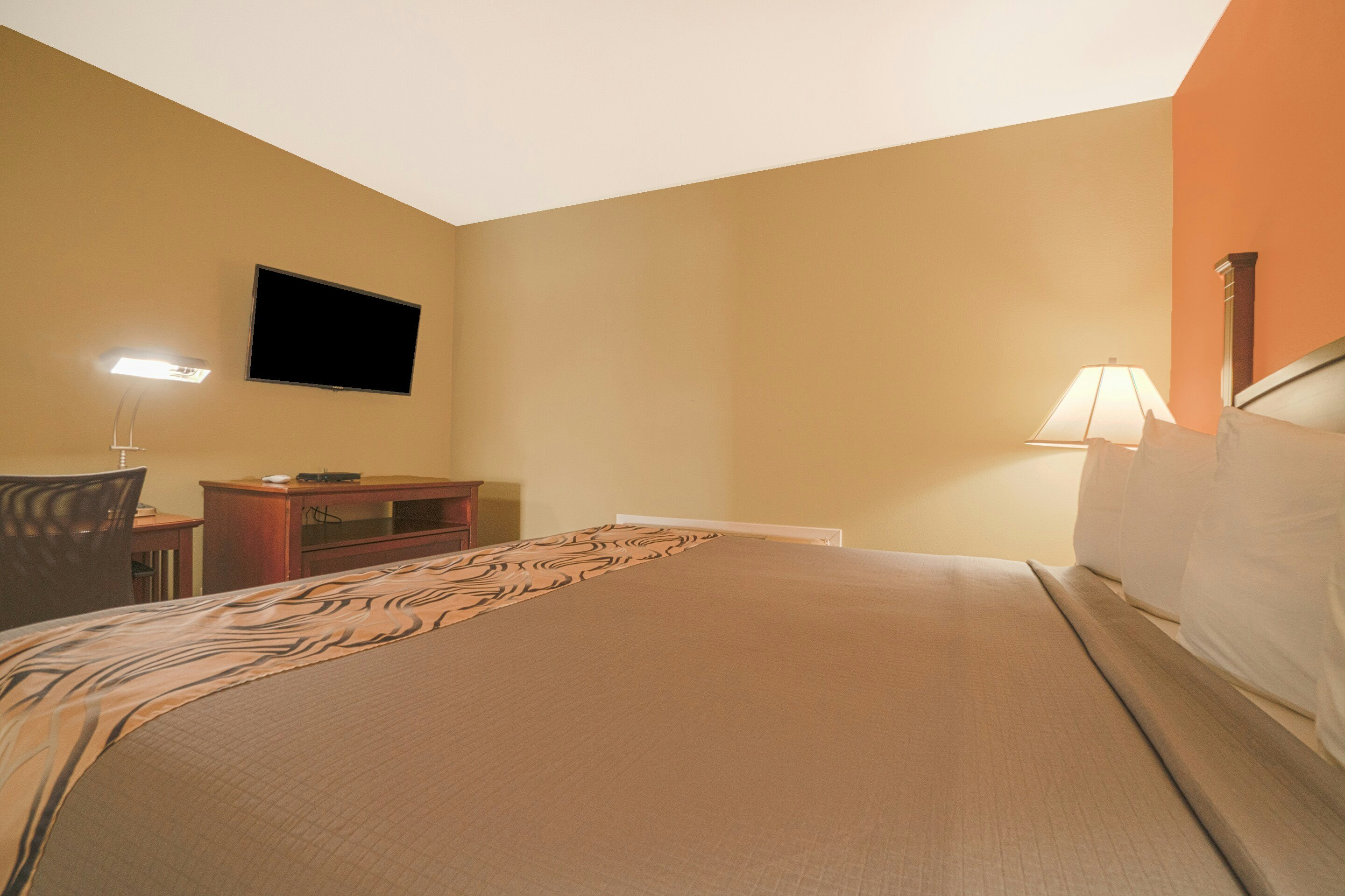 2 Bedroom Apartment without Kitchenette