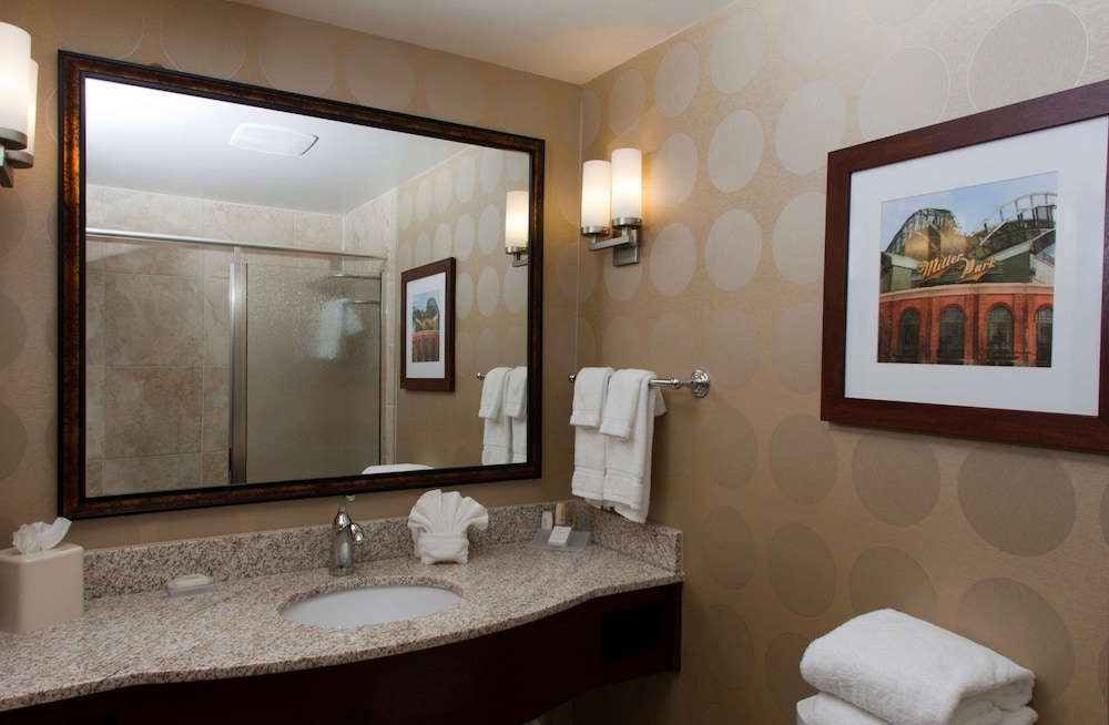 Hilton Garden Inn Milwaukee Airport 15/60