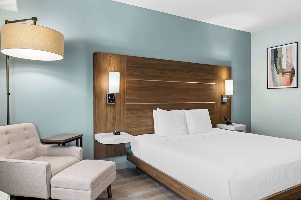 Standard, King Bed, Accessible