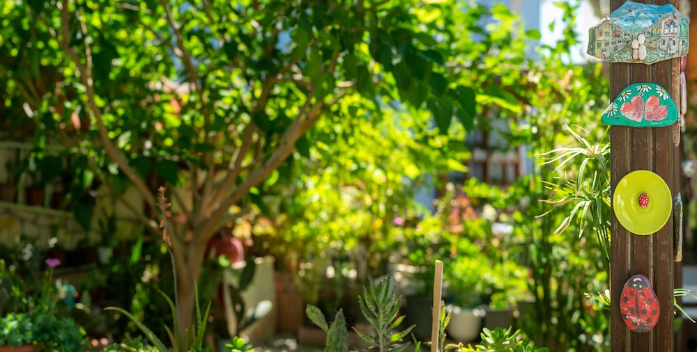 Avci Han Tas Ev Hotel - Adults Only 46/50