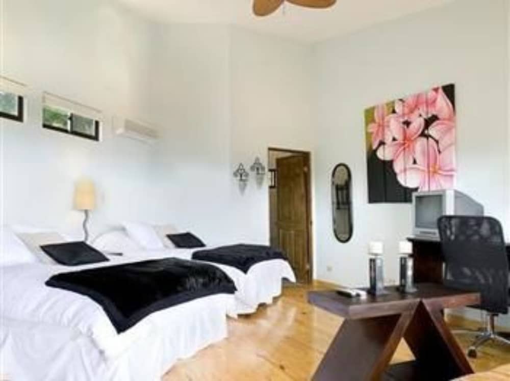 Boutique Hotel Out of Bounds photo4