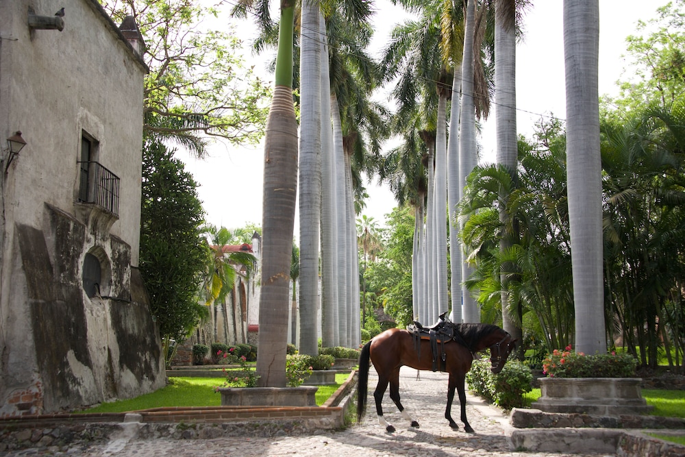Hacienda Vista Hermosa 56/62