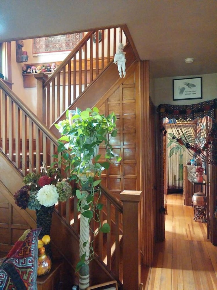 Oasis Bed and Breakfast 3/37