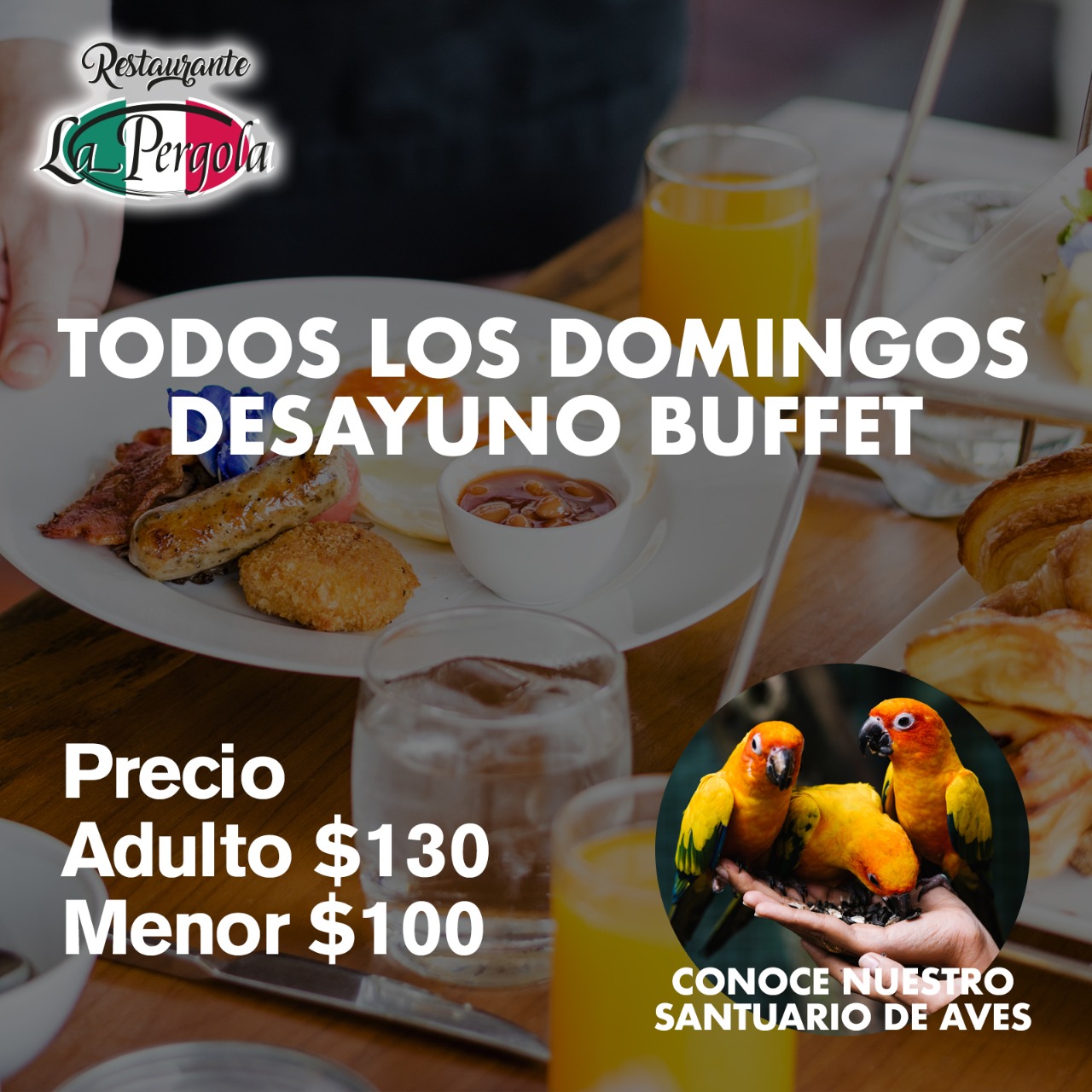 Hotel La Pergola Manzanillo 13/32