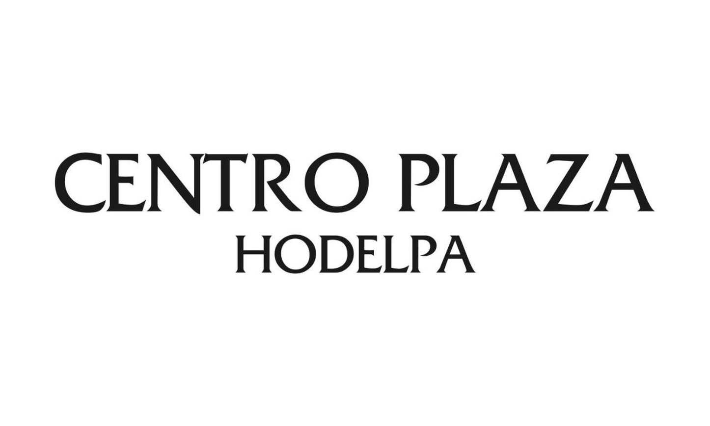 Centro Plaza Hodelpa 2/31