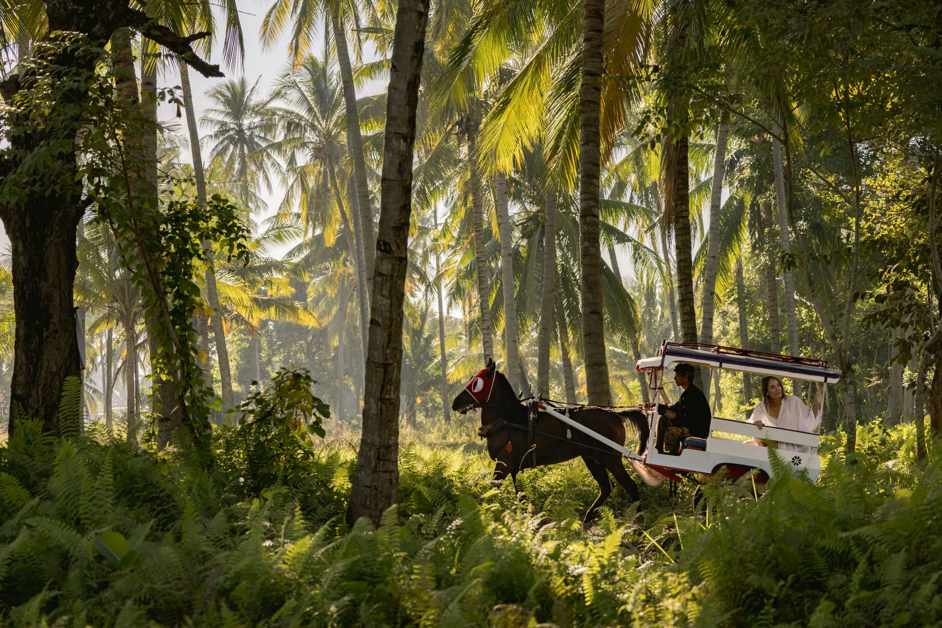 The Sira, a Luxury Collection Resort & Spa, Lombok 33/47