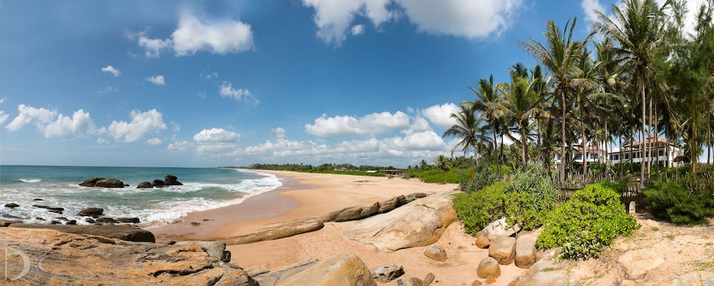 Turtle Bay 32/50