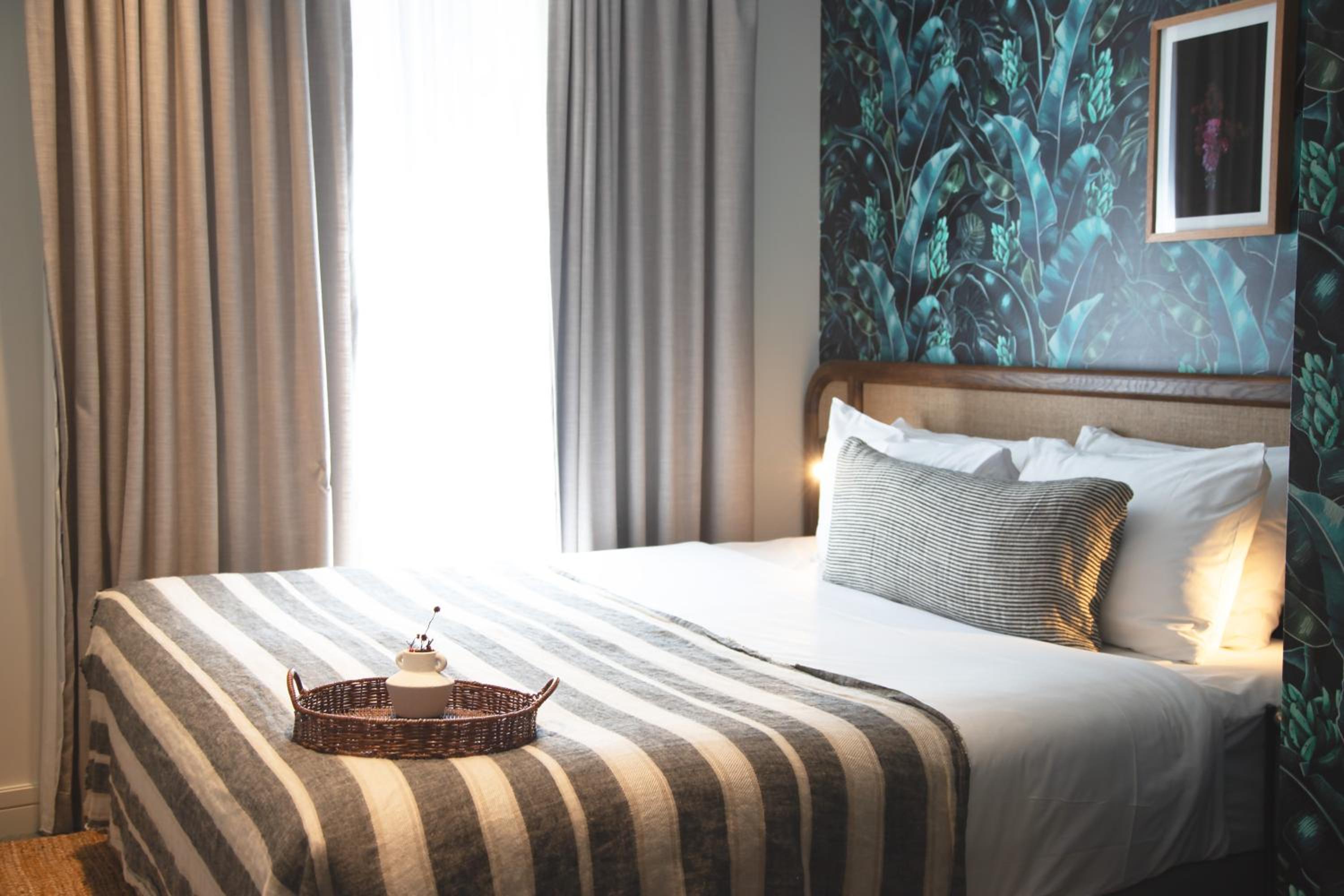 Room, King Bed, Accessible