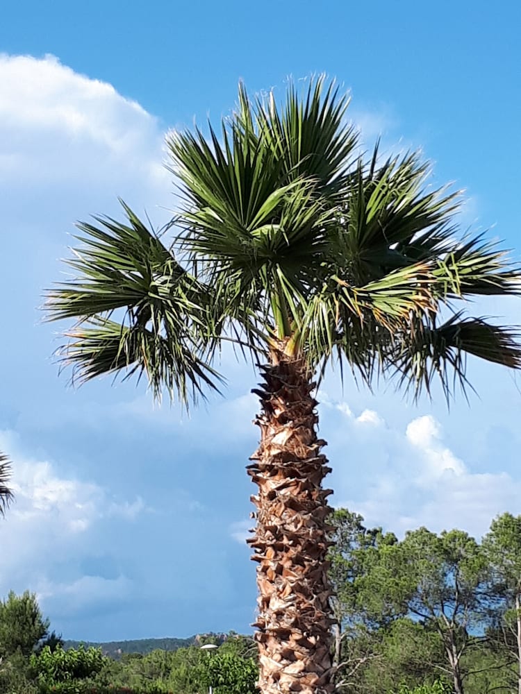Les Parasols d Argens 37/44