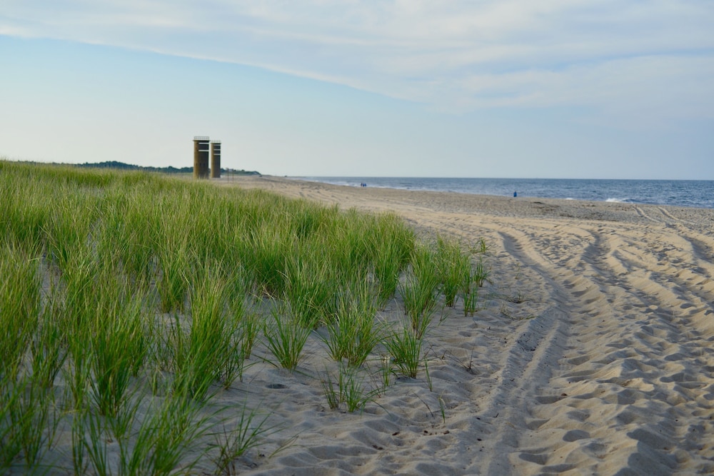 Atlantic Oceanside Dewey Beach Resort 46/50