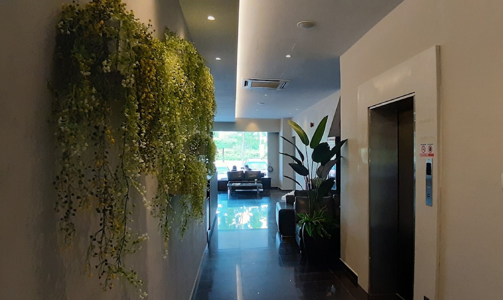 Miico Hotel Mount Austin 5/58