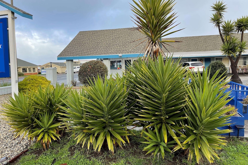 Baymont by Wyndham Fort Bragg 34/46