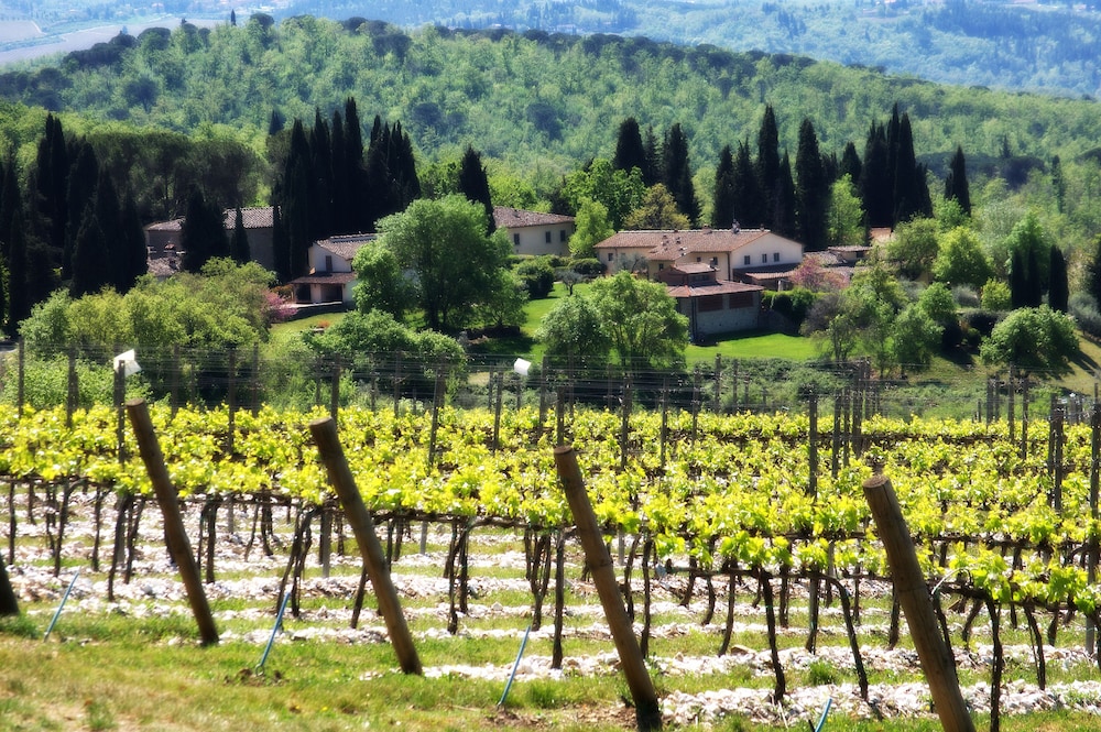 FONTE DE' MEDICI 60/65