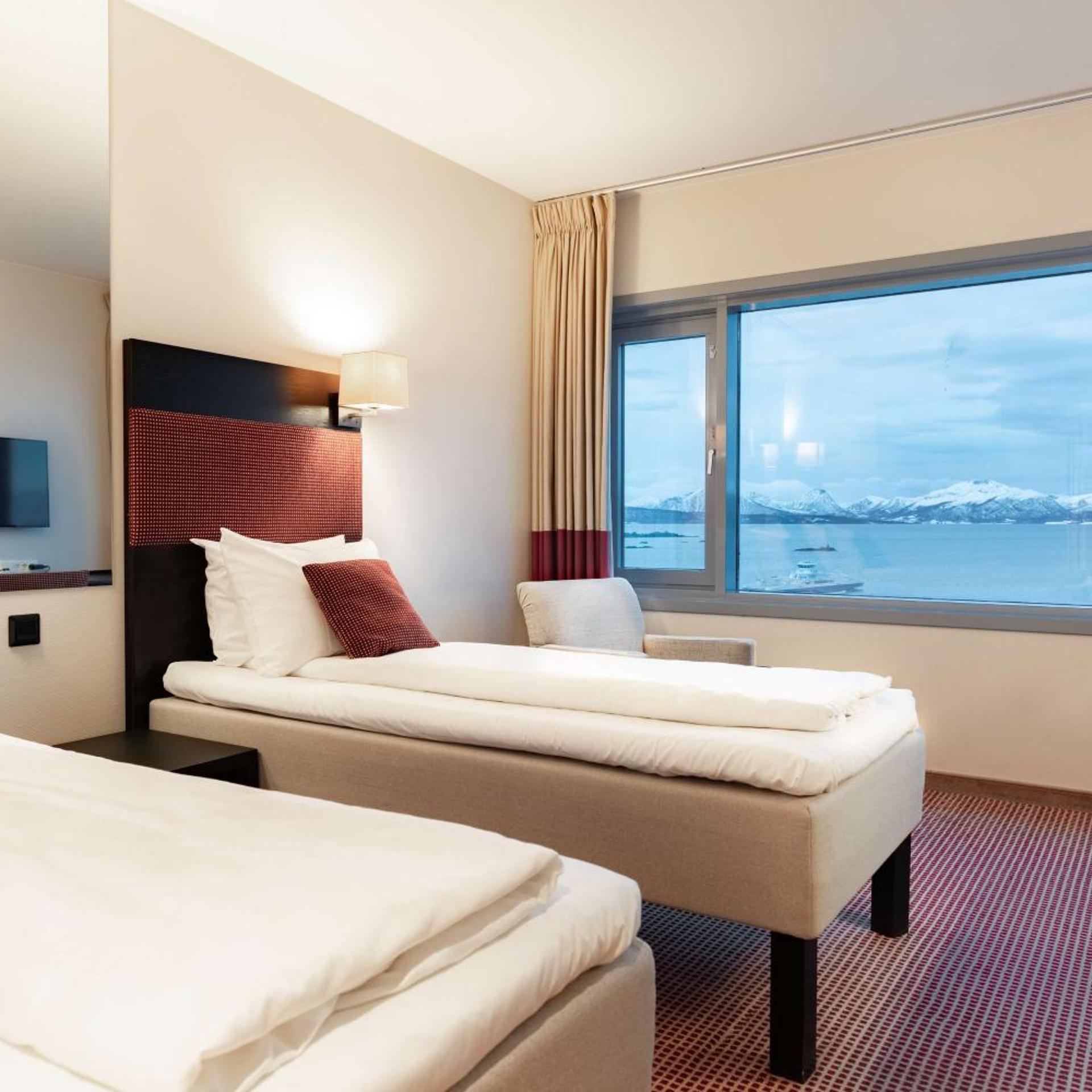 Room, Single Bed