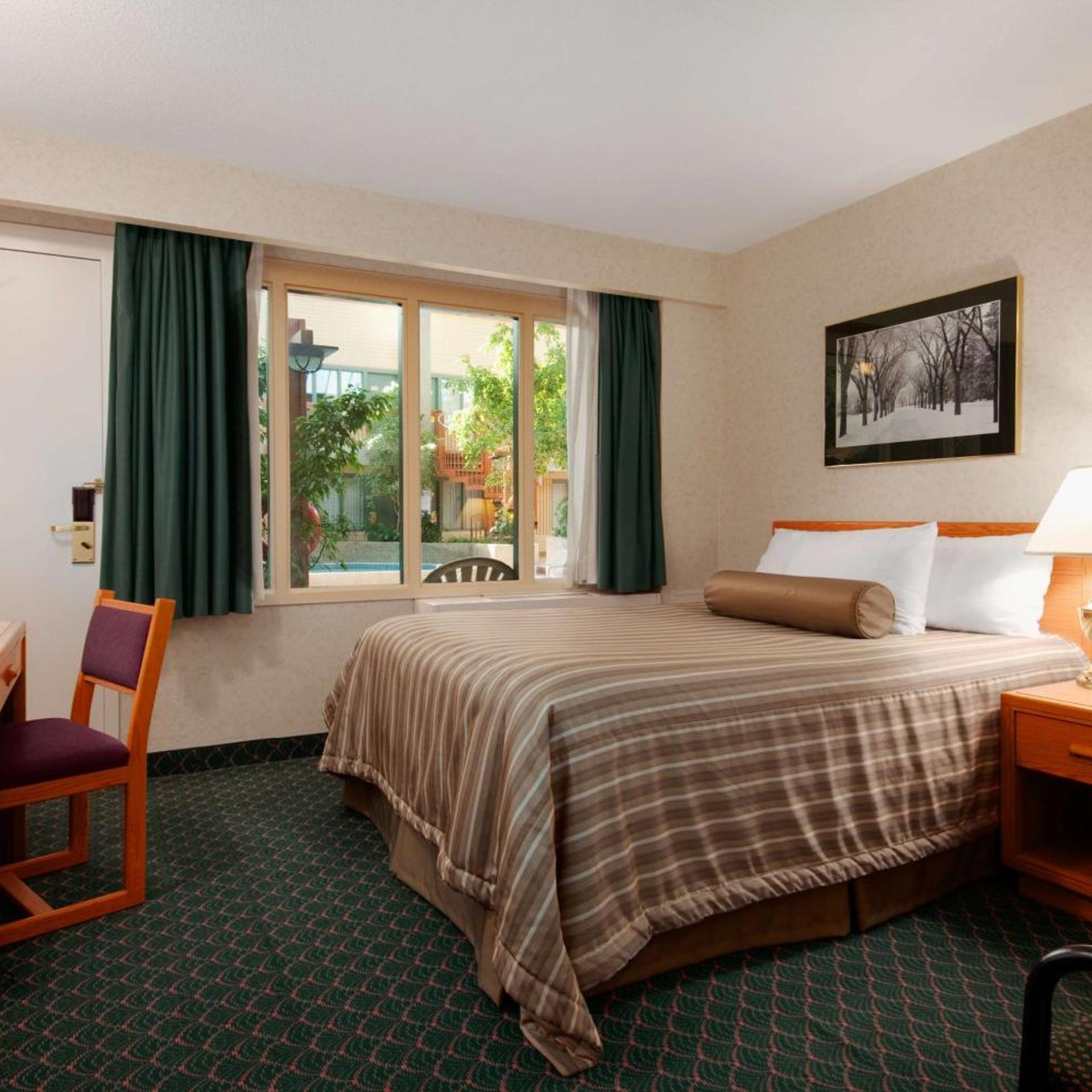 Deluxe, Queen Bed
