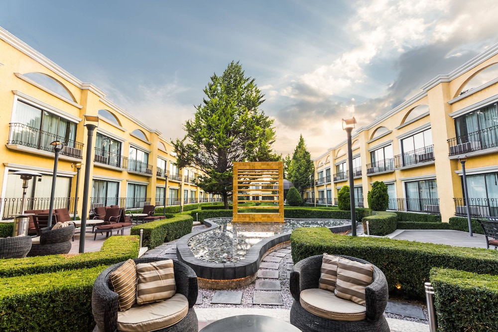 Courtyard By Marriott Toluca Airport 6/45