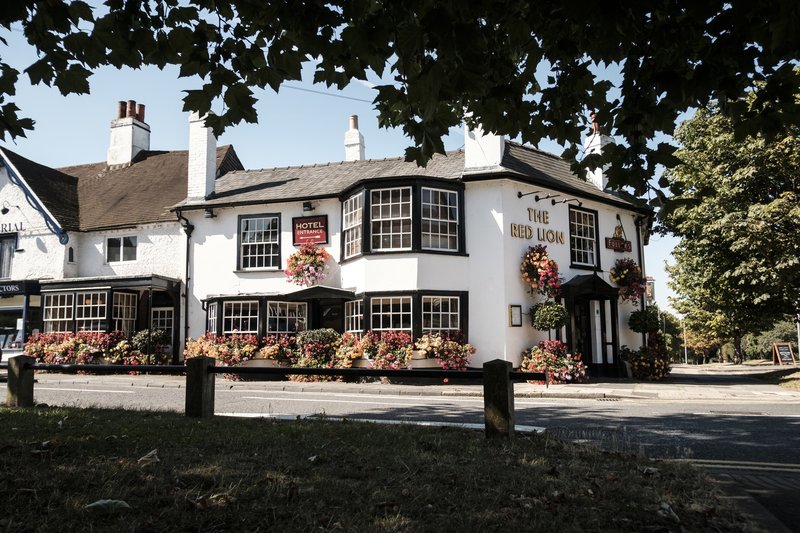 The Red Lion 1/15