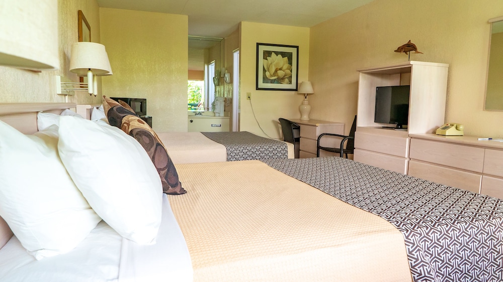 Fort Lauderdale Beach Resort Hotel And Suites 42/42