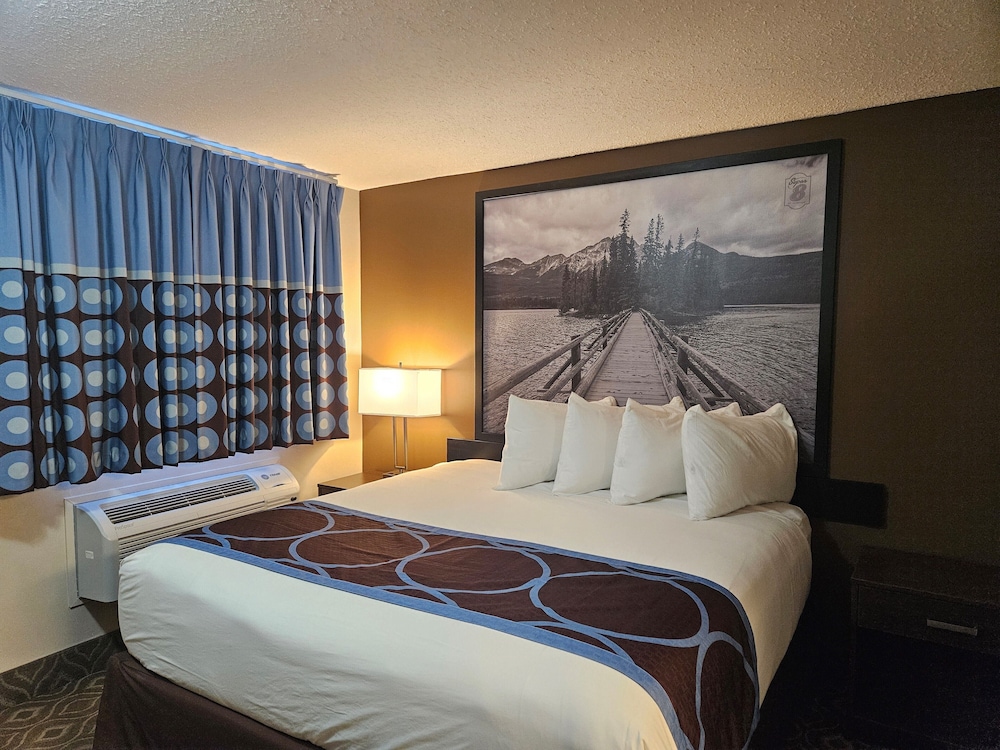 Efficiency, Suite, Twin Beds