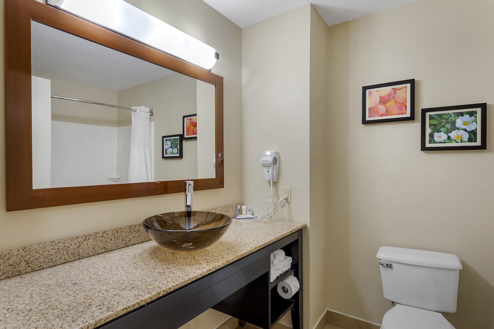 Comfort Inn & Suites Canton Riverstone Area 16/30