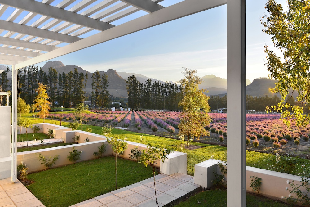 Lavender Farm Guest House 17/31