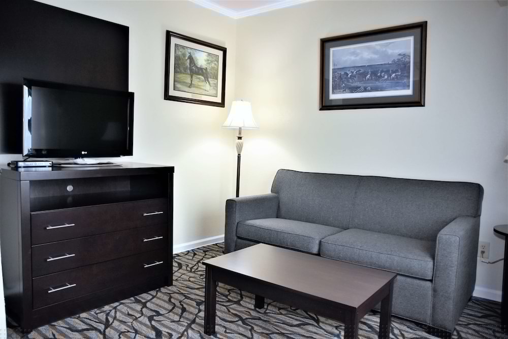 Best Western Spring Hill Inn & Suites 19/32