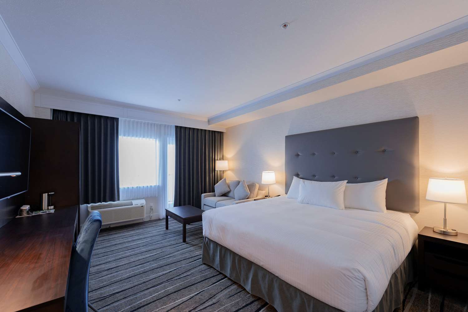 Executive, Suite, King Bed, Sofa