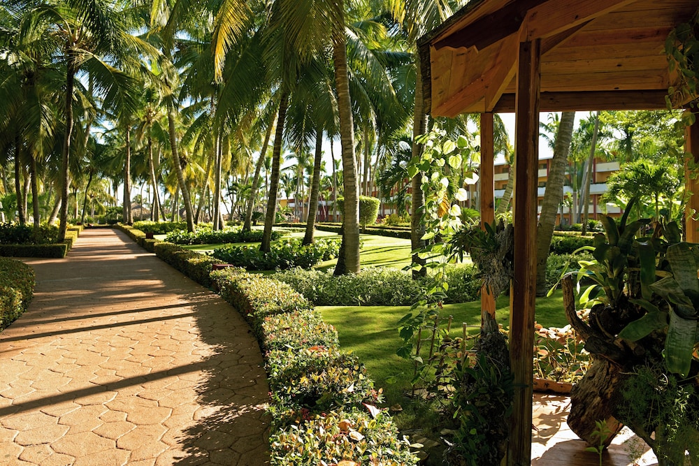 Iberostar Waves Punta Cana 21/49