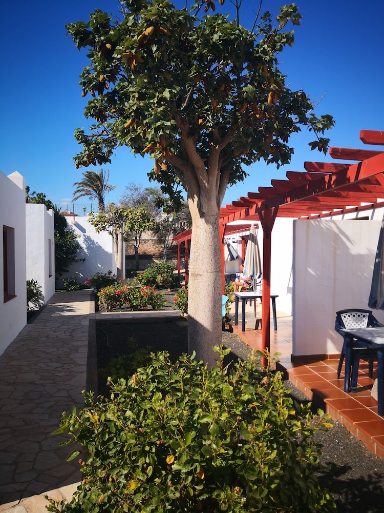 Castillo Beach Club35610 2/33
