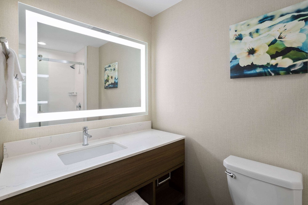 غرفة بسرير كينج بحوض استحمام، La Quinta Inn & Suites by Wyndham Locust Grove 6/9