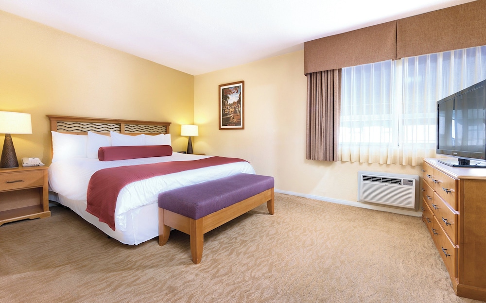1 BEDROOM, CONDO, KITCHEN