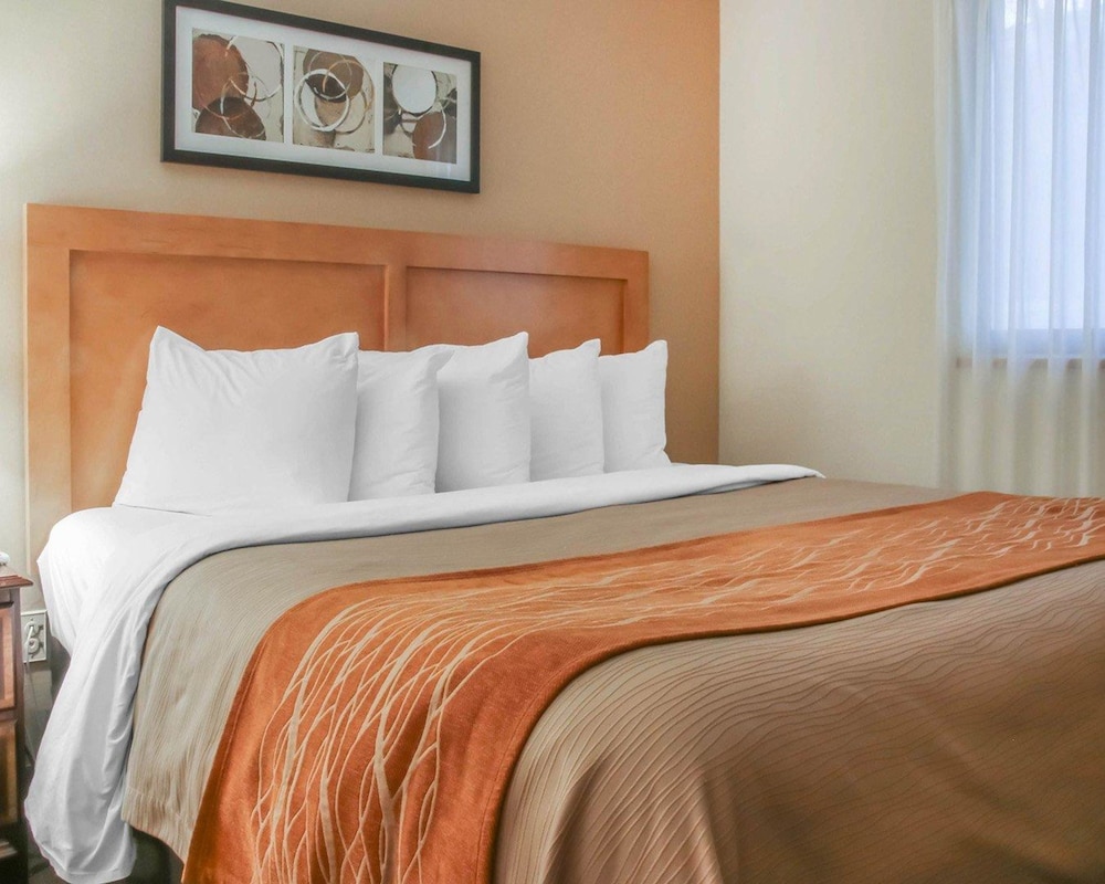 Comfort Inn Winnipeg South 10/42