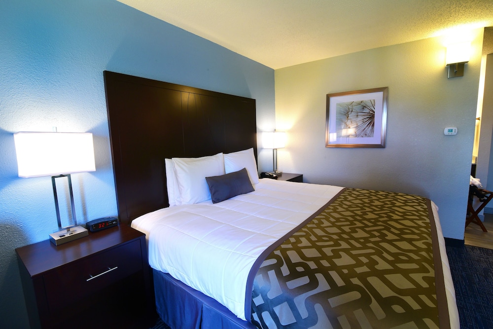 Best Western Plus Flint Airport Inn & Suites 12/38