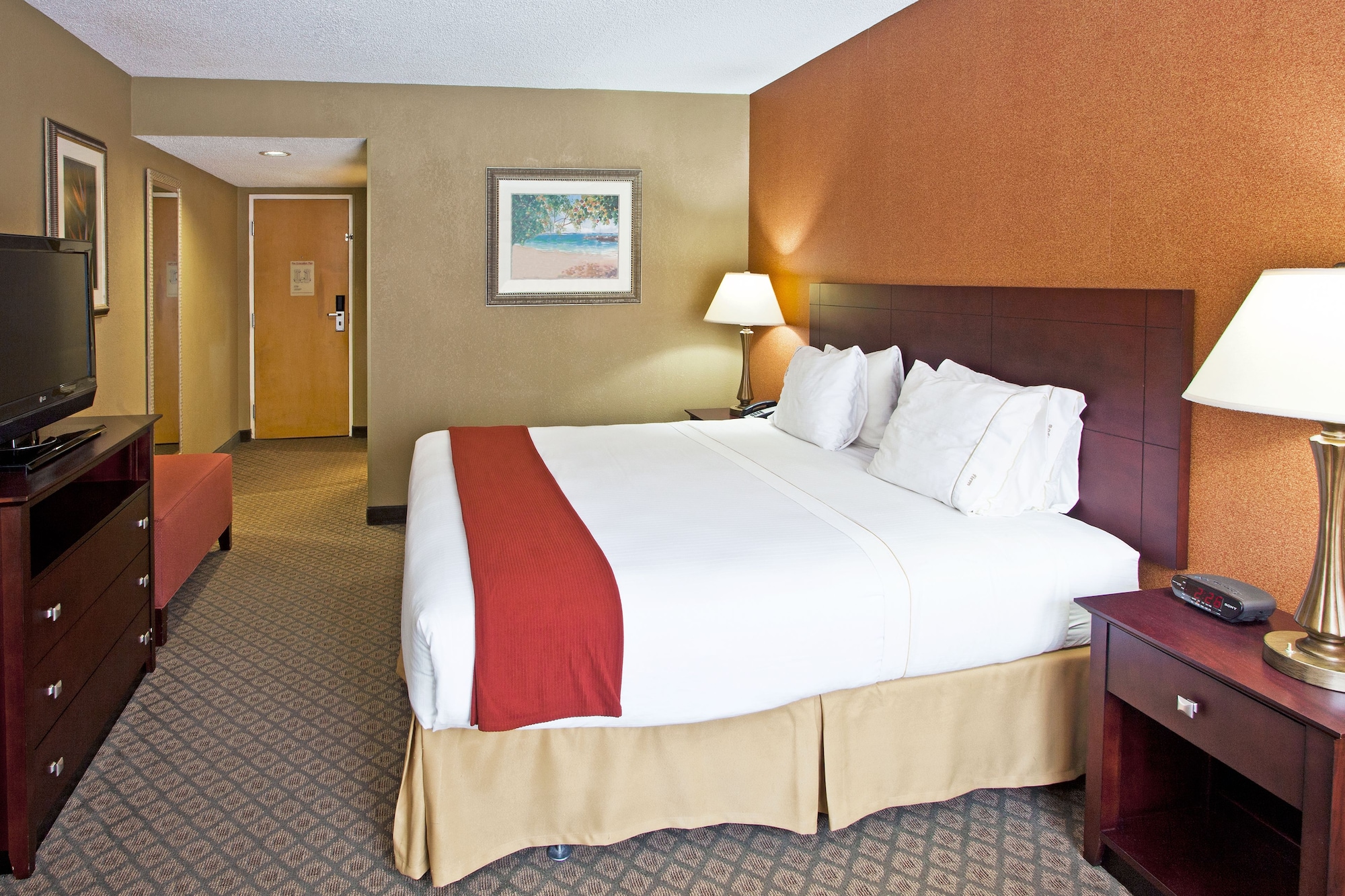 Standard, King Bed, Accessible, Holiday Inn Express Clearwater East Icot Center 6/10
