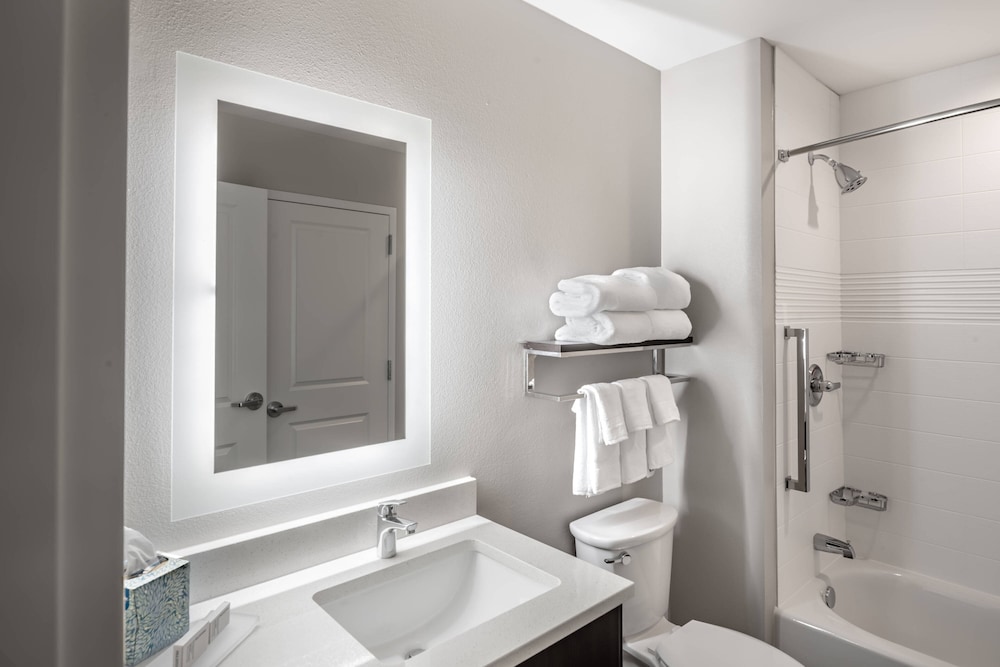 TownePlace Suites by Marriott Austin South 13/43